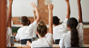 students raising hands in class