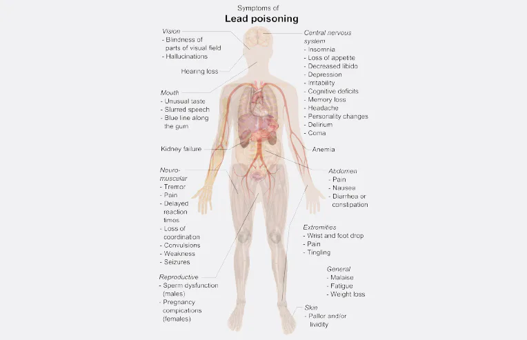 There's Probably More Lead In Your Kid's Food Than You Think