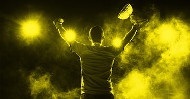 The Winner Effect: The Science of by Ian H. Robertson
