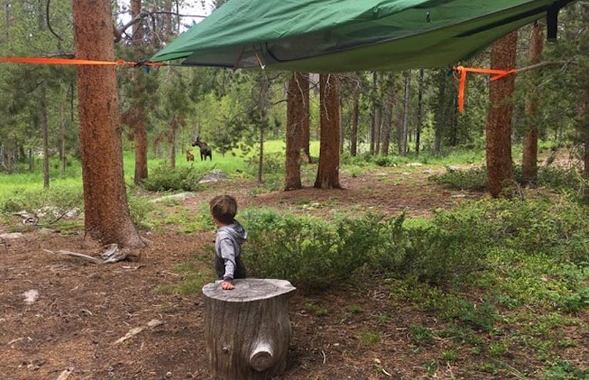 A toddler standing next to a log, looking out into the forrest as a tree tent stands above him