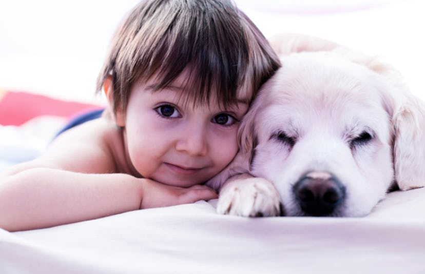 child and dog