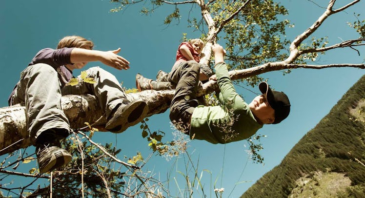 kids climbing tree