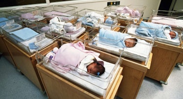 babies sleeping in nursery