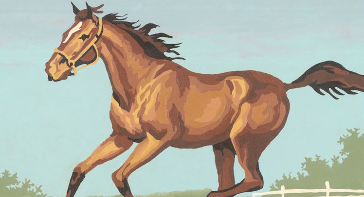 running horse illustration