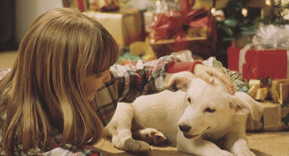 What to Do When Someone You Love Wants a Puppy for Christmas