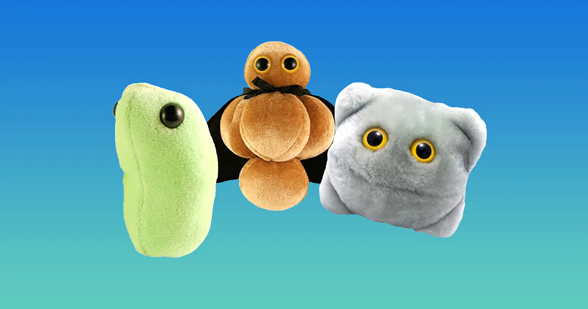 Plush Microscope These Plush Microbes Give My Kid A Flu They Can Cuddle