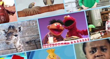 拼贴的youtube频道的孩子