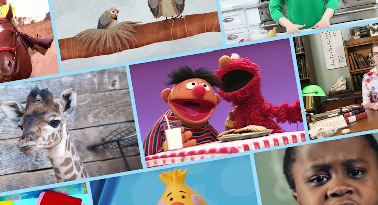 collage of youtube channels for kids