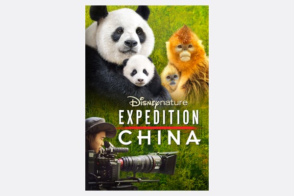 The 20 Best Documentaries for Kids (And Where to Stream Them)