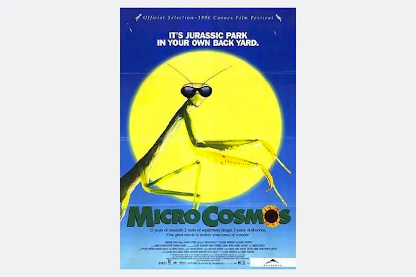 The 20 Best Documentaries for Kids (And Where to Stream Them)