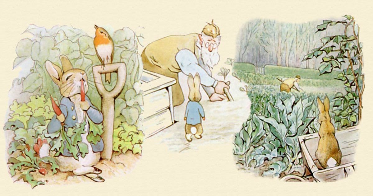 Beatrix Potter's 'Peter Rabbit' is a Scary, Violent, and Excellent Kids ...