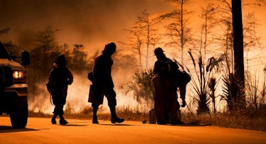 A wildfire within a forest and three firemen approaching the wildfire.