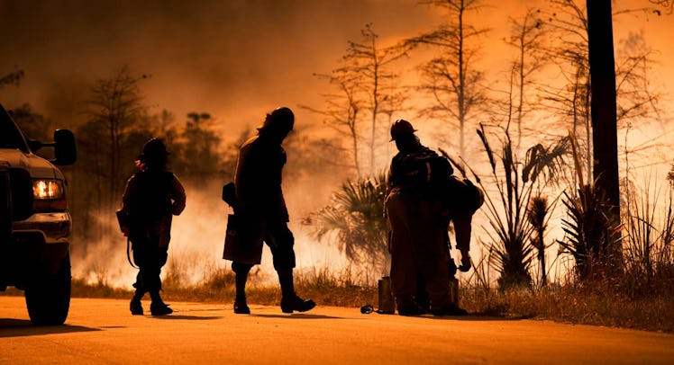 Three firemen approaching a wildfire in a forest to put it out 