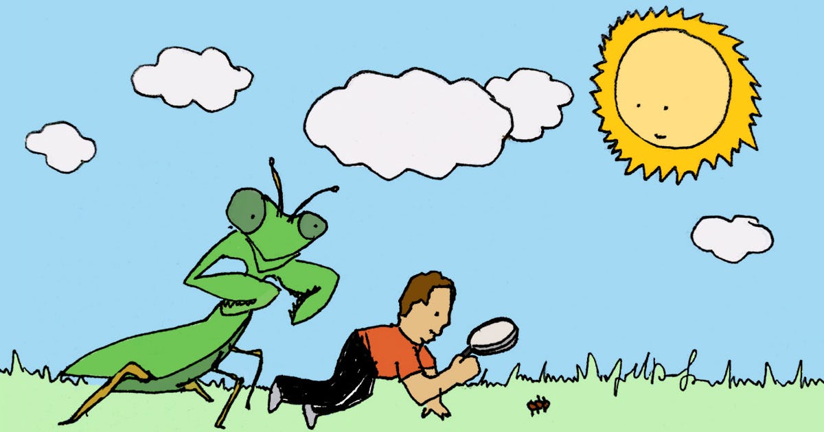 'Bug Hunt' Is a Scavenger Game That Teaches Kids About Nature