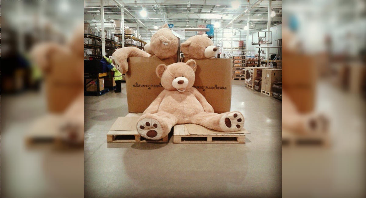 costco giant plush bear