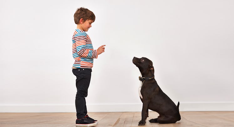 A little boy in a striped sweater and denim jeans standing across from a dog who is trained to play...