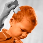 head lice children