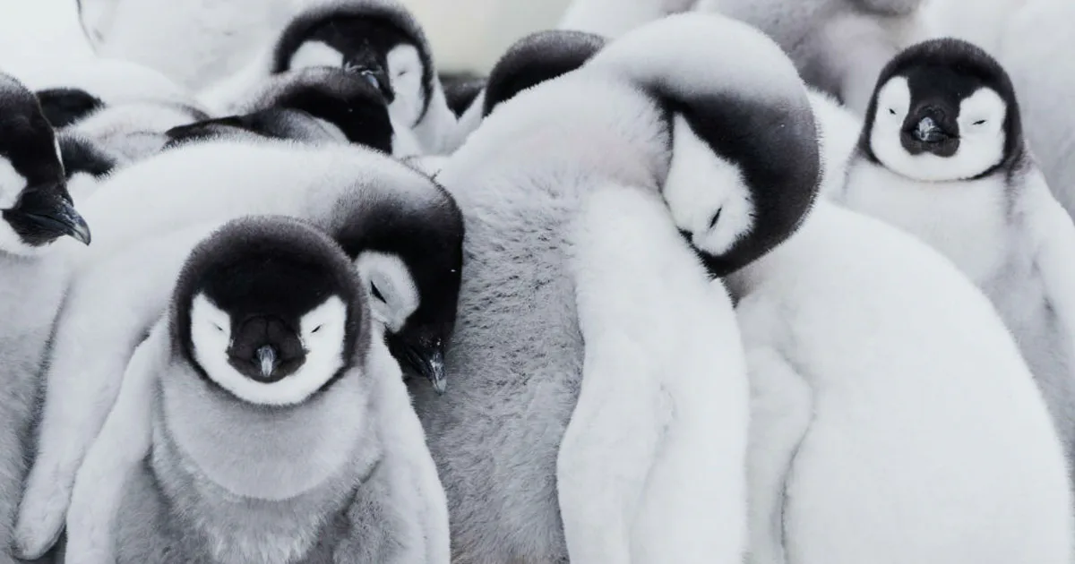 Best Kids Science Documentaries Streaming on Netflix and Hulu in March
