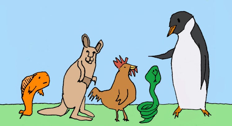 An illustration of a fish, kangaroo, rooster, snake, and penguin representing the Move Like an Anima...