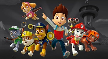 7 paw patrol characters displayed on a grey backdrop