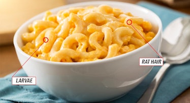 A bowl of mac and cheese with animations pointing out where rat hair and larvae may be in it.