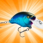 A Fishing Lure