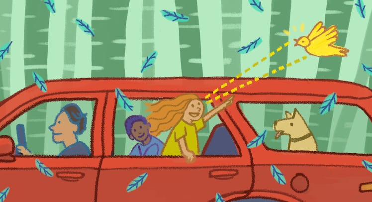 Illustration of a girl looking at a bird through a car window