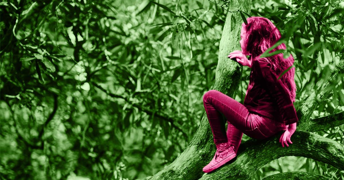 How to Climb a Tree: What Kids Need to Know to Do It Safely