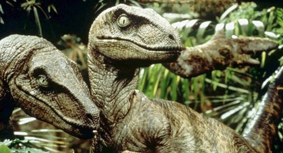 Jurassic Park Best Velociraptor Scenes From The Original To Jurassic World 
