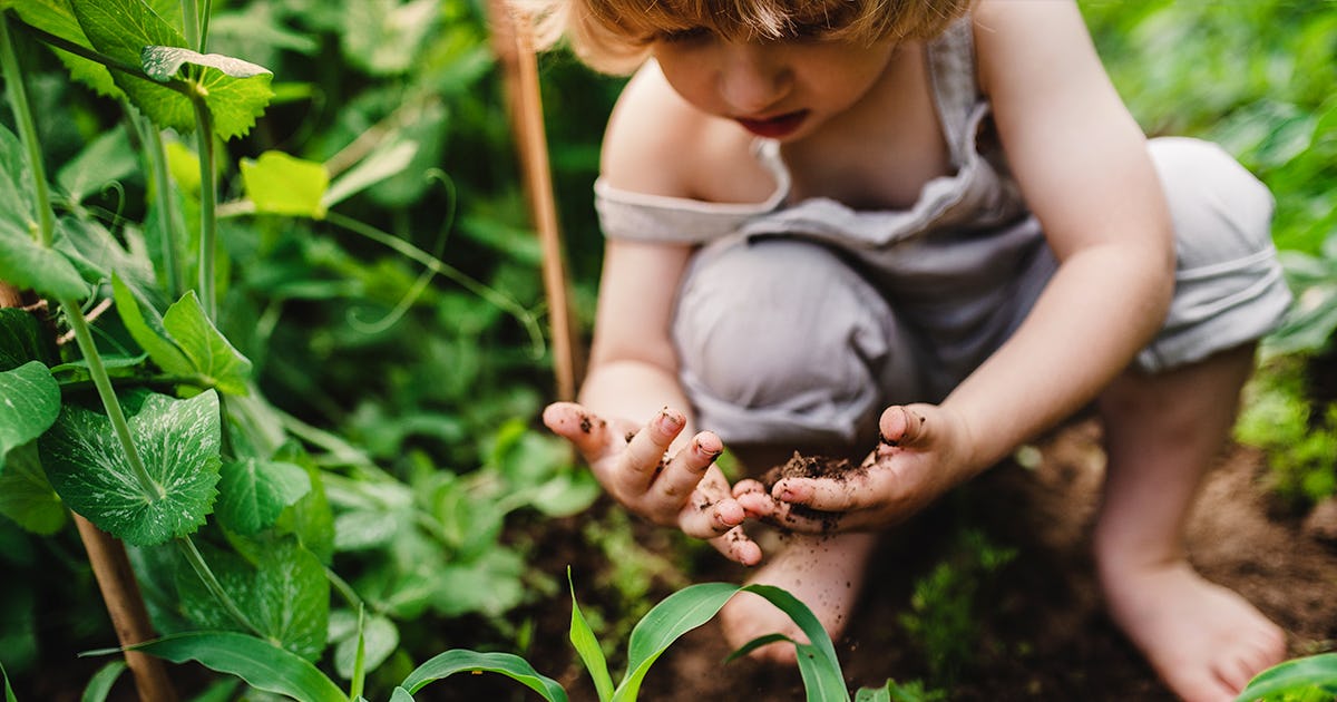 Parents Should Let Kids Eat Dirt For Gut Health And Immune Protection