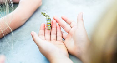 A child holding a bug