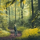 A man walking in the forest as the nature is the best medicine for asthma, adhd, and kids 