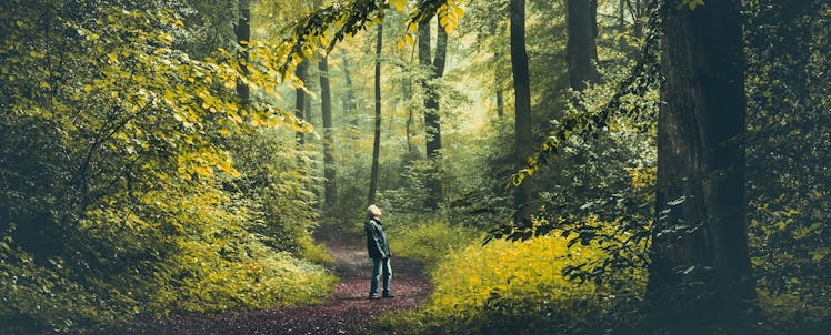 A man walking in the forest
