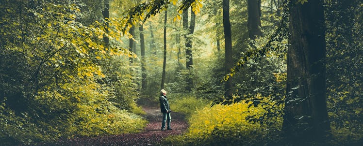 A man walking in the forest 