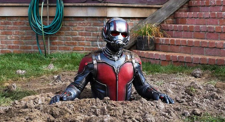 The Ant-Man character in one scene of the movie "Ant-Man", where he is stuck in dirt, buried to his ...