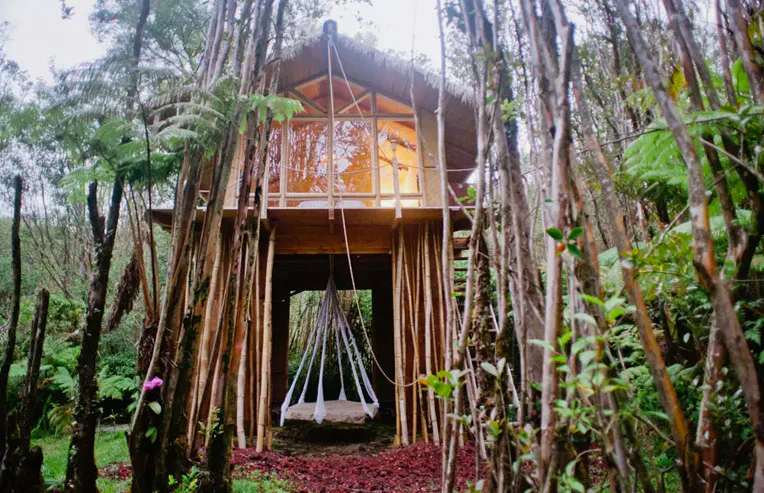 Best Treehouse Rentals On Airbnb For Kids And Families