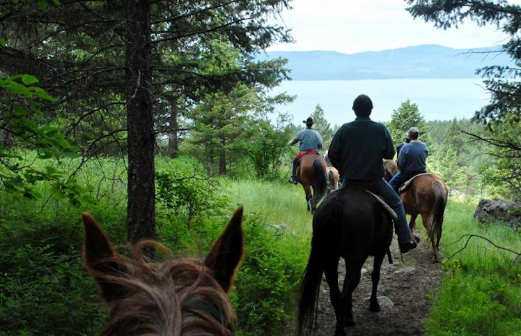Three men on brown horses moving through a forest during their stay at a family vacation resort in t...