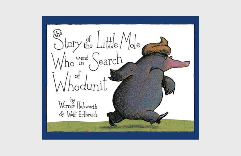The cover of The Story of the Little Mole in Search of Whodunit by Werner Holzwarth