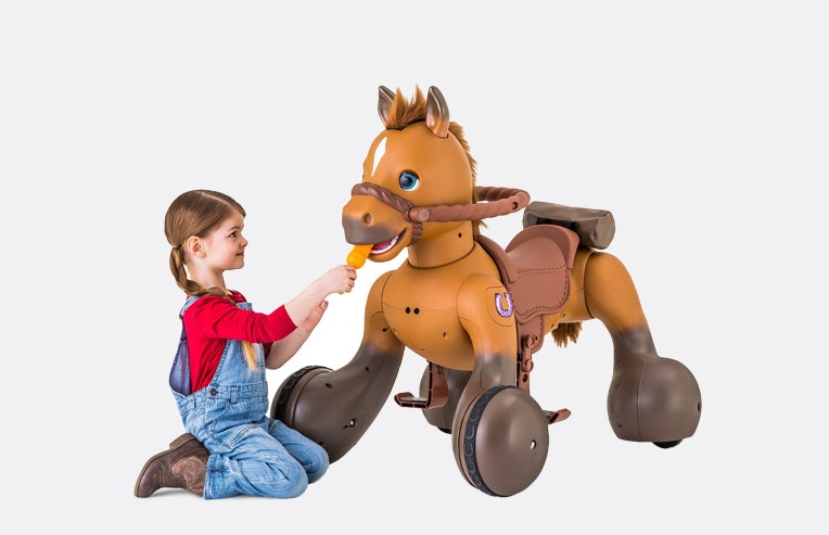 12 volt scout pony