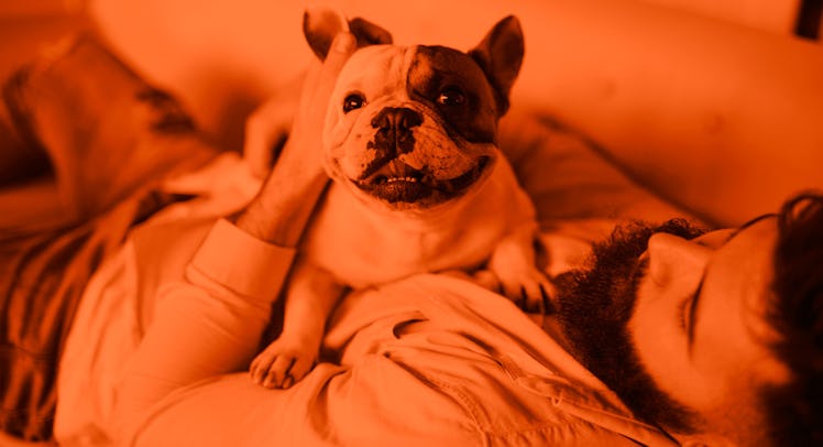 A man with his dog lying on his chest
