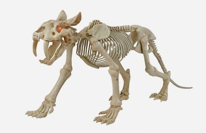 Home Depot Animated Skelton Sabertooth with LED Eyes as a scary Halloween decoration