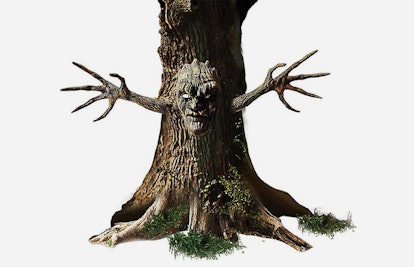 Spirit Tree Face and Arms as a scary Halloween decoration