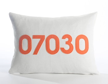 Custom Pillow by Alexandra Ferguson