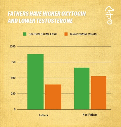 Graph showing how Fathers Experience A Testosterone Dip, An Oxytocin Spike