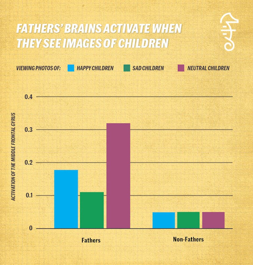 Graph showing how fathers' brains activate when they see images of children