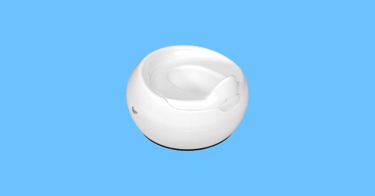 The best potty training seats and toilets set against a blue backdrop.