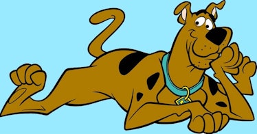 What Kind of Dog Is Scooby Doo? - Fatherly