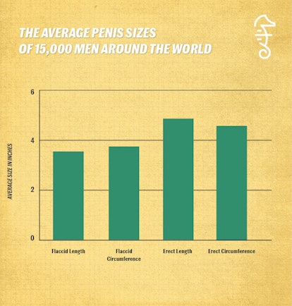 Graph showing the average penis sizes around the world.