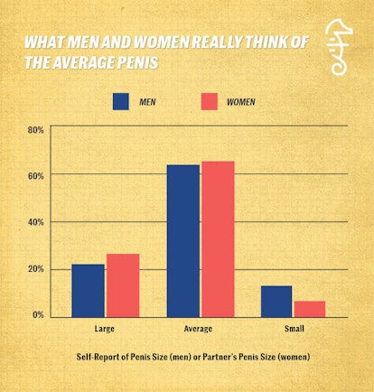 Graph showing what men and women think of the average penis.