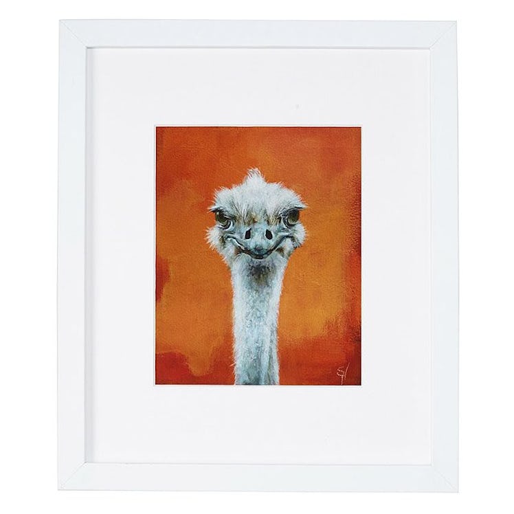 Ned the Ostrich Portrait